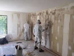 Mold Documentation for Insurance Claims in Woodside, CA